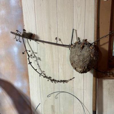 Paper Wasp Nest