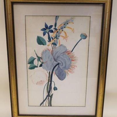 1172	LARGE FRAMED BOTANICAL WATERCOLOR, APPROXIMATELY 17 IN X 23 IN OVERALL
