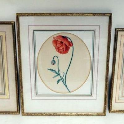 1171	LOT OF 3 FRAMED BOTANICAL WATERCOLORS, LARGEST APPROXIMATELY 13 IN X 16 IN OVERALL
