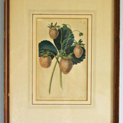 Lot 015   0
1828 Antique Botanical Hand Colored Engraving Strawberries