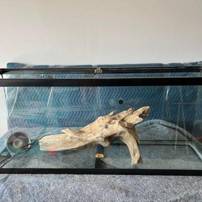 Large Rectangular Glass Terrarium