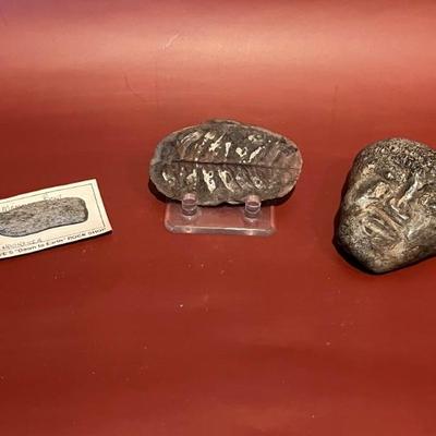 More fossils