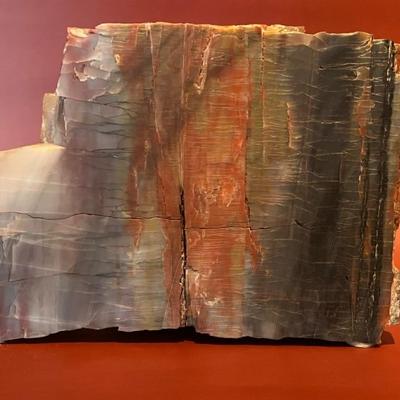 large piece of petrified wood