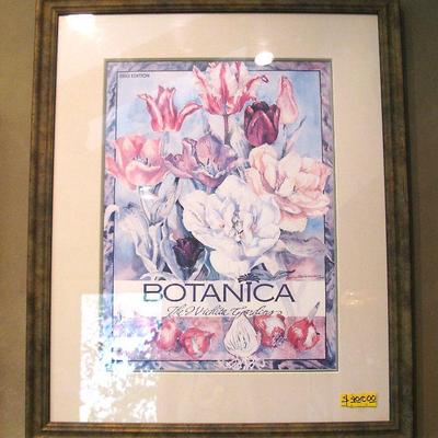 Framed Botanica ~ Very Nice