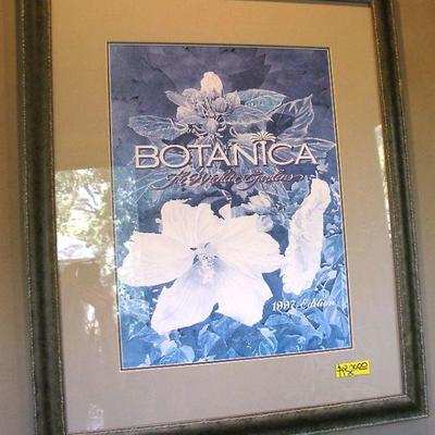 Framed Botanica ~ Very Nice