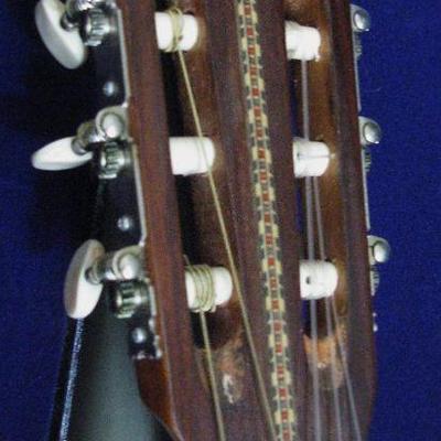 Vintage Splendor Guitar with Case