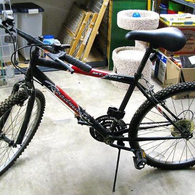 Roadmaster Trail Bike