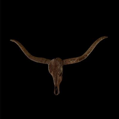 Metal Longhorn Yard Art