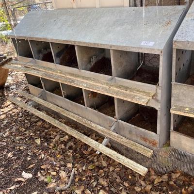 Chicken Laying Nest