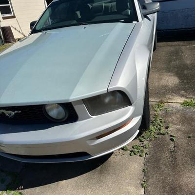  2006 Mustang