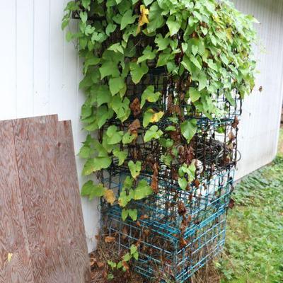 Crab traps 