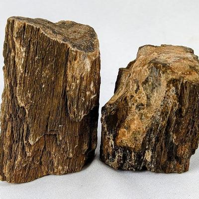 #19 â€¢ Two Petrified Wood Pieces
