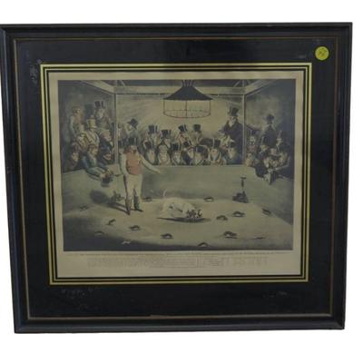BILLY THE CELEBRATED RAT KILLING DOG AQUATINT