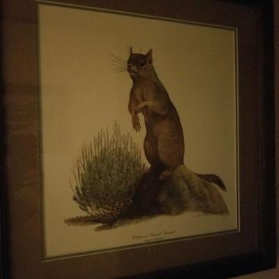 Ray Harm framed print California Ground Squirrel