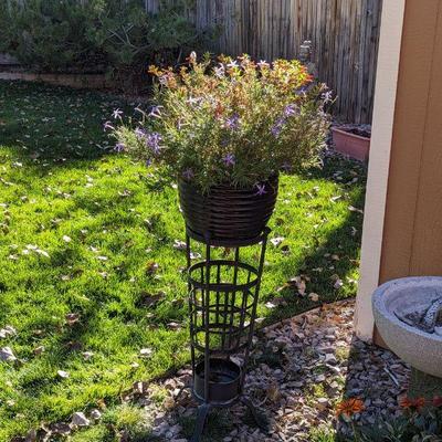 Black Ribbed Planter with Plant Climbing Stand