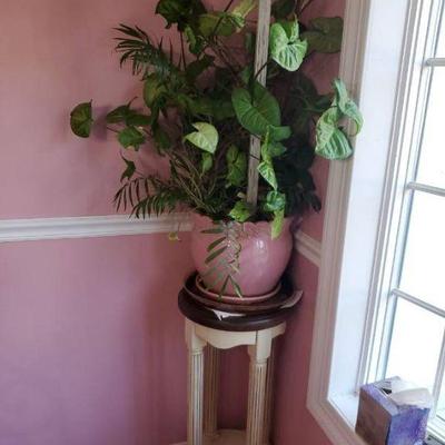 Live Potted Plant And Stand