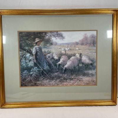 Sheep herding - Lito