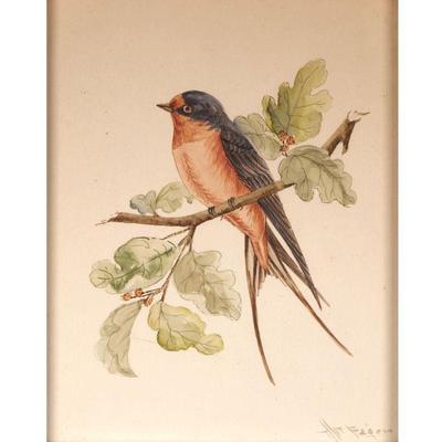 M FAGER BIRD WATERCOLOR | w. 11 x h. 13 in (frame) 