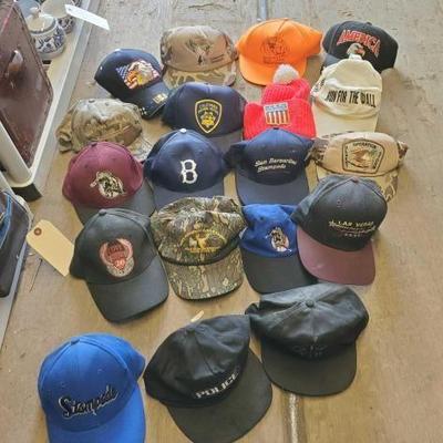 #3538 â€¢ (19) Adjustable Hats
