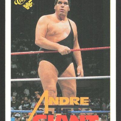 GOLF, TIGER, NICKLAUS, BOSTON, REDSOX, MLB, BASEBALL, ROOKIE, AUTO, BRUINS, VINTAGE, Topps, toys, collectables, trading cards, other...