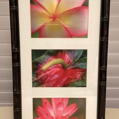 MMF070 Framed Art Photography Of Hawaiian Flowers