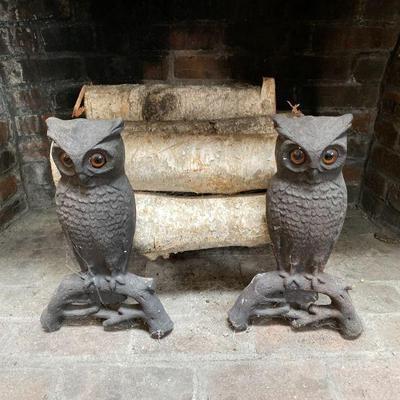 Amber Eyed Owl Fire 