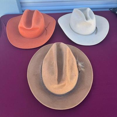 (3) Cowboy Hats Including Stetson
