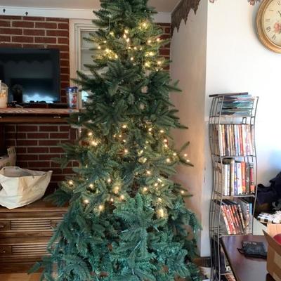 Lit Xmas tree