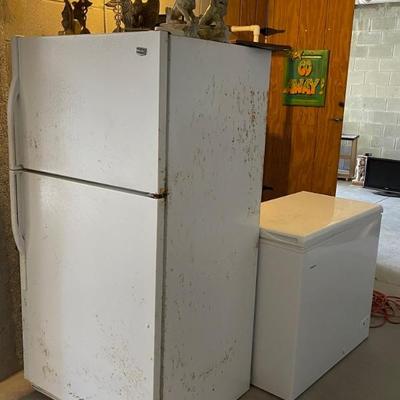 Refrigerator & Deep Freezer in Garage