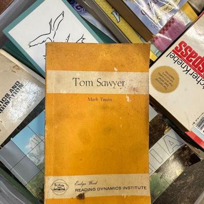 Tom Sawyer