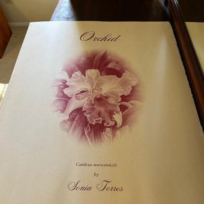 Sonia Jones Orchid Prints