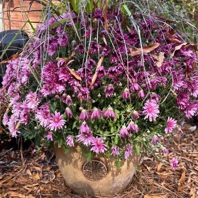 External Garden Pot w/Flowers