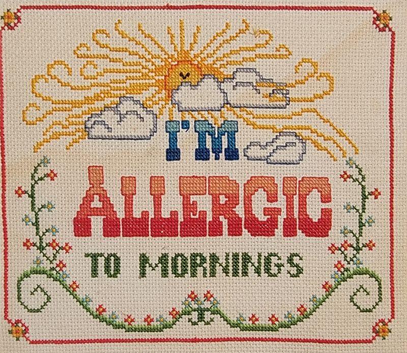 Memory Lane Estate Sale Blue Springs, MO (40 Hwy & 7 Hwy