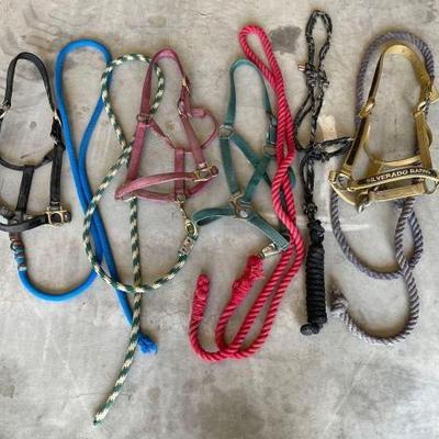 #3040 â€¢ (5) Halters and Lead Ropes
