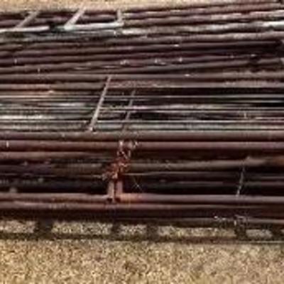 #243 â€¢ Nine Steel Pipe Gates
