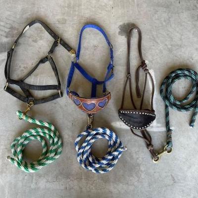 #3038 â€¢ (3) Halters and Lead Ropes
