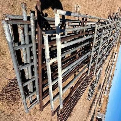 #248 â€¢ Eleven Corral Panels and Gates
