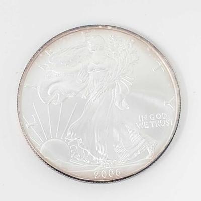 #569 â€¢ 2006 American Silver Eagle Dollar
