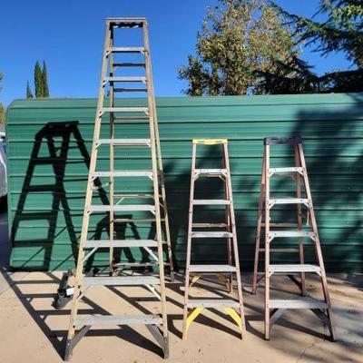 #5004 â€¢ 3 Werner Ladders
