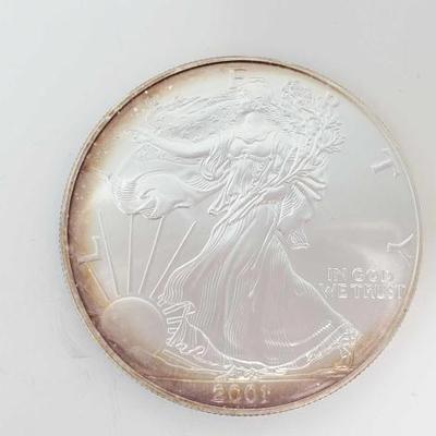 #587 â€¢ 2001 American Silver Eagle Dollar
