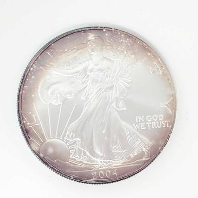 #573 â€¢ 2004 American Silver Eagle Dollar
