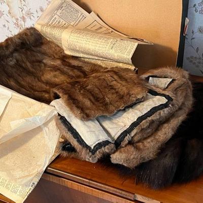 Antique Furs Found Wrapped In 1948 Newspaper

