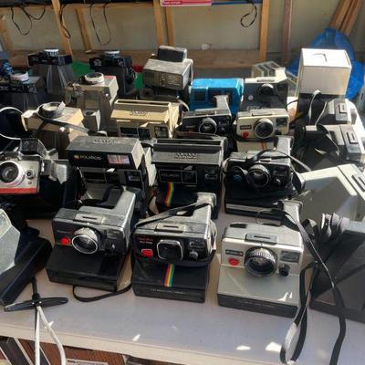 TONS OF POLAROID CAMERAS!!! SWINGER, ONE STEPS, SX-70'S & MORE!!!
