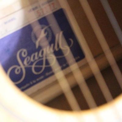 Label inside Guitar
