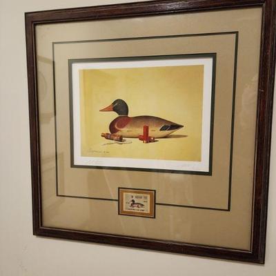 1984 Montanucci 288/950