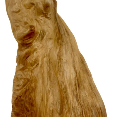 #71 â€¢ Vintage Natural Wood Cypress Knee
