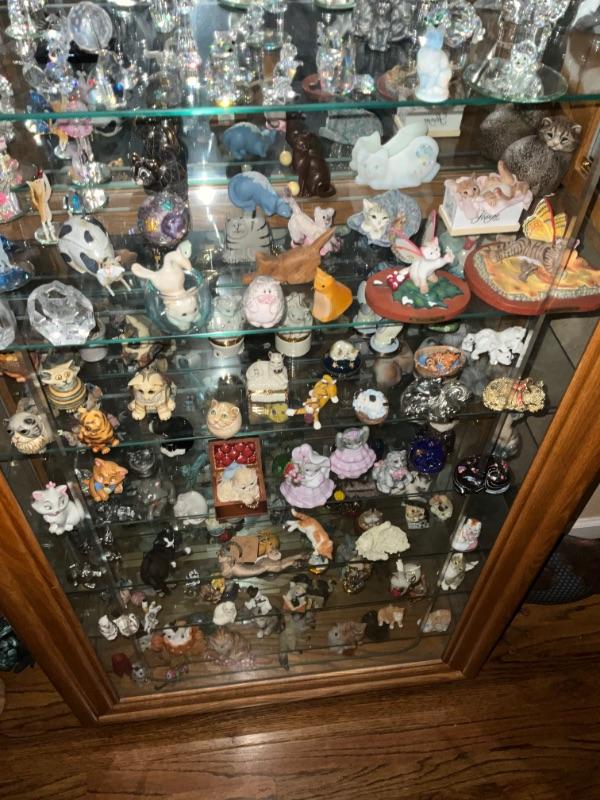 Grasons of SW Denver Purrfect collection ˜»