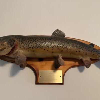 Mounted fish