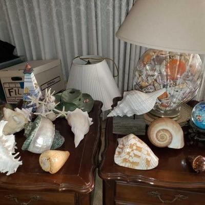 #9530 • 10 Shells, Lamp, And Decor