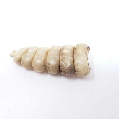 #435 â€¢ Rattlesnake Rattle
